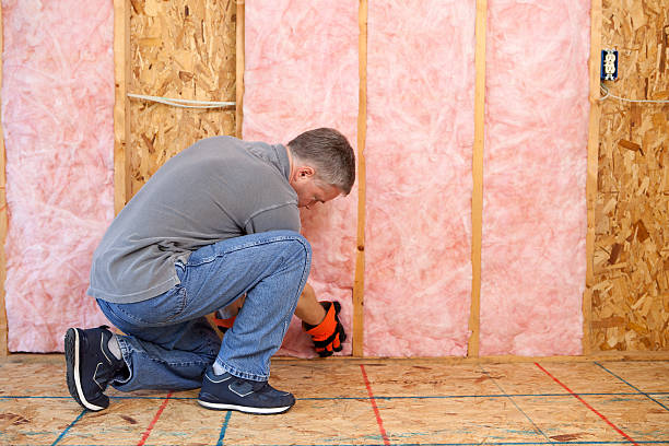 Insulation Repair Services in Maywood, IL
